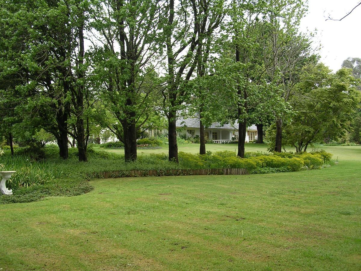 Cedar Garden Bed & Breakfast Underberg Exterior foto